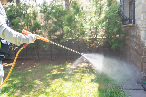 Best Mosquito Control Services  in Fairview Park, OH