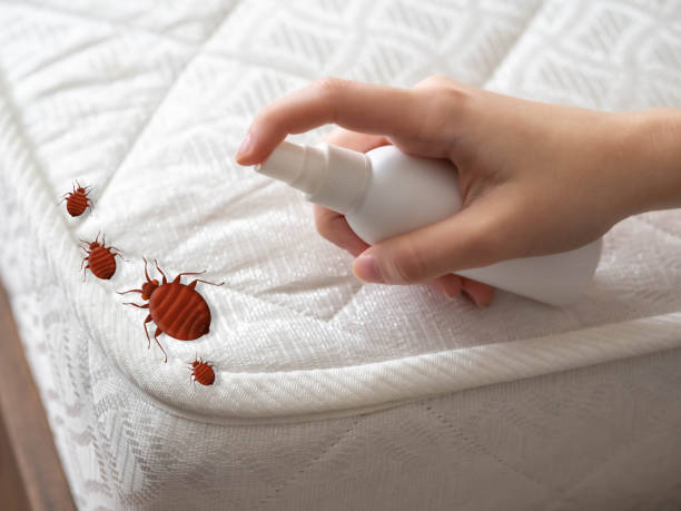 Best Commercial Pest Control Services  in Fairview Park, OH